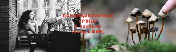 a pvp Богданович