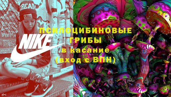 ешки Богородск